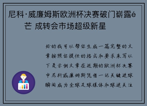 尼科·威廉姆斯欧洲杯决赛破门崭露锋芒 成转会市场超级新星 尼科·威廉姆斯欧洲杯决赛破门崭露锋芒 成转会市场超级新星